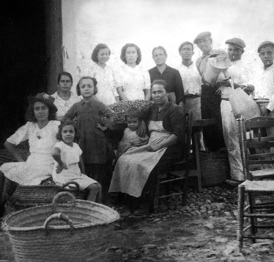 historia rumarin